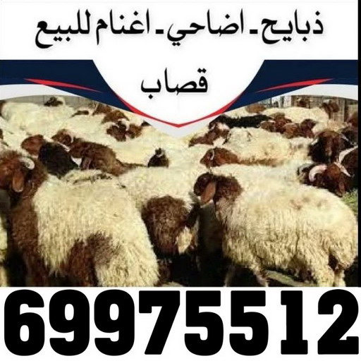 المنيوم الكويت – فني المنيوم - احمد 66814293 - المنيوم - شتر - تركيب مطابخ - فني شتر - تركيب شتر - تصليح شتر - تصليح مطبخ - معلم المنيوم - فني المنيوم الكويت 9 2 المنيوم الكويت – فني المنيوم - احمد 66814293 - المنيوم - شتر - تركيب مطابخ - فني شتر - تركيب شتر - تصليح شتر - تصليح مطبخ - معلم المنيوم - فني المنيوم الكويت