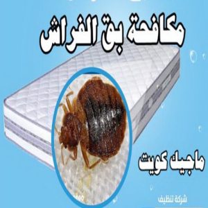 مكافحة حشرات الفروانية - مكافحة حشرات وقوارض الفروانية - بنغالي 99114313 - شركة حشرات - شركة مكافحة حشرات - مكافحة بق - مكافحة قوارض - مكافحة حشرات الكويت 14 مكافحة بق مكافحة حشرات الفروانية - مكافحة حشرات وقوارض الفروانية - بنغالي 99114313 - شركة حشرات - شركة مكافحة حشرات - مكافحة بق - مكافحة قوارض - مكافحة حشرات الكويت