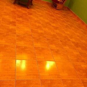 237 مكافحة قوارض - مكافحة حشرات وقوارض - الاتصال 50464050 - شركة حشرات - مكافحة حشرات - شركة مكافحة حشرات - مكافحة بق - مكافحة حشرات الكويت