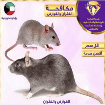 مكافحة حشرات الجهراء - بنغالي📞99114313 - شركة مكافحة حشرات - مكافحة حشرات وقوارض - مكافحة بق - رش صراصير - مكافحة نمل - شركة حشرات - مكافحة فئران